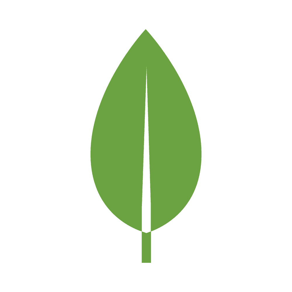 MongoDB