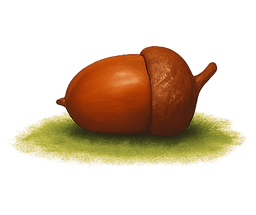 Nut