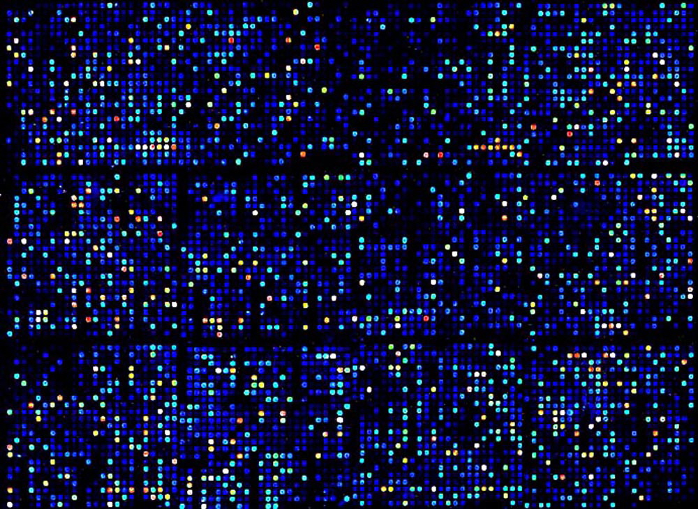 Micro Array Imaging